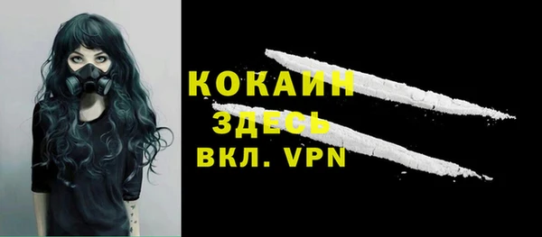 соль ск Абаза