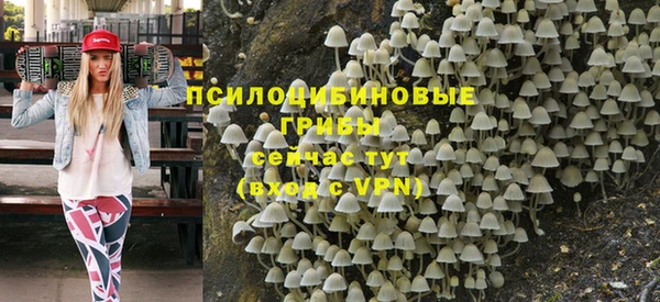 соль ск Абаза