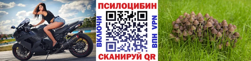 Галлюциногенные грибы Cubensis  Саратов 