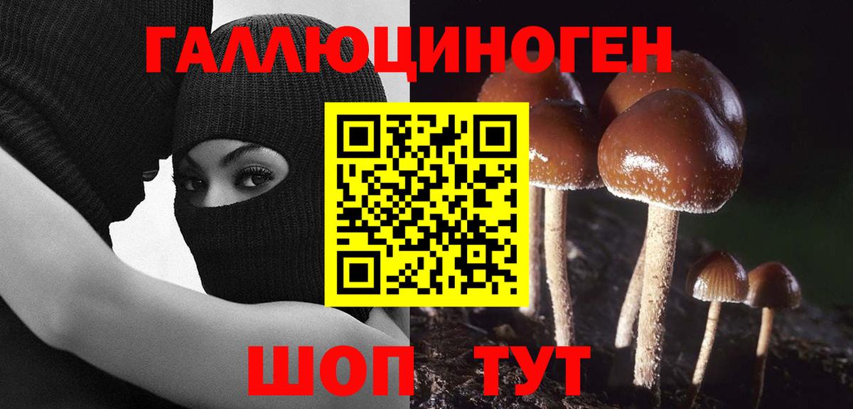 Псилоцибиновые грибы прущие грибы  Вход с VPN  Псилоцибиновые грибы прущие грибы  Саратов 